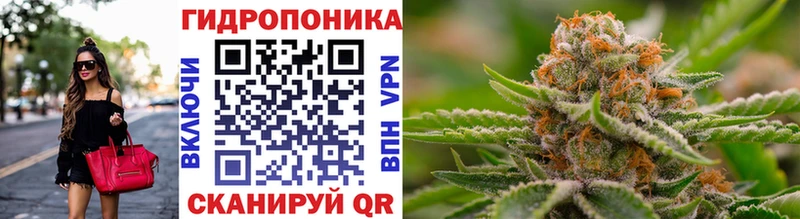 Купить закладки  Учалы  Бошки Шишки SATIVA & INDICA 